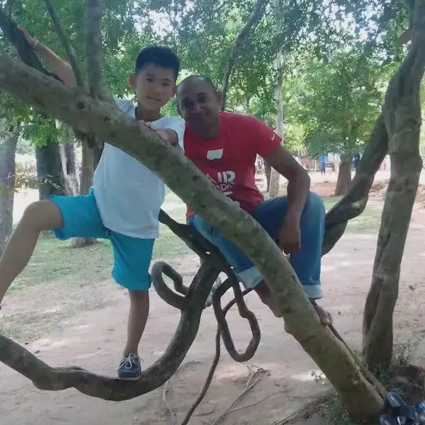林间触风